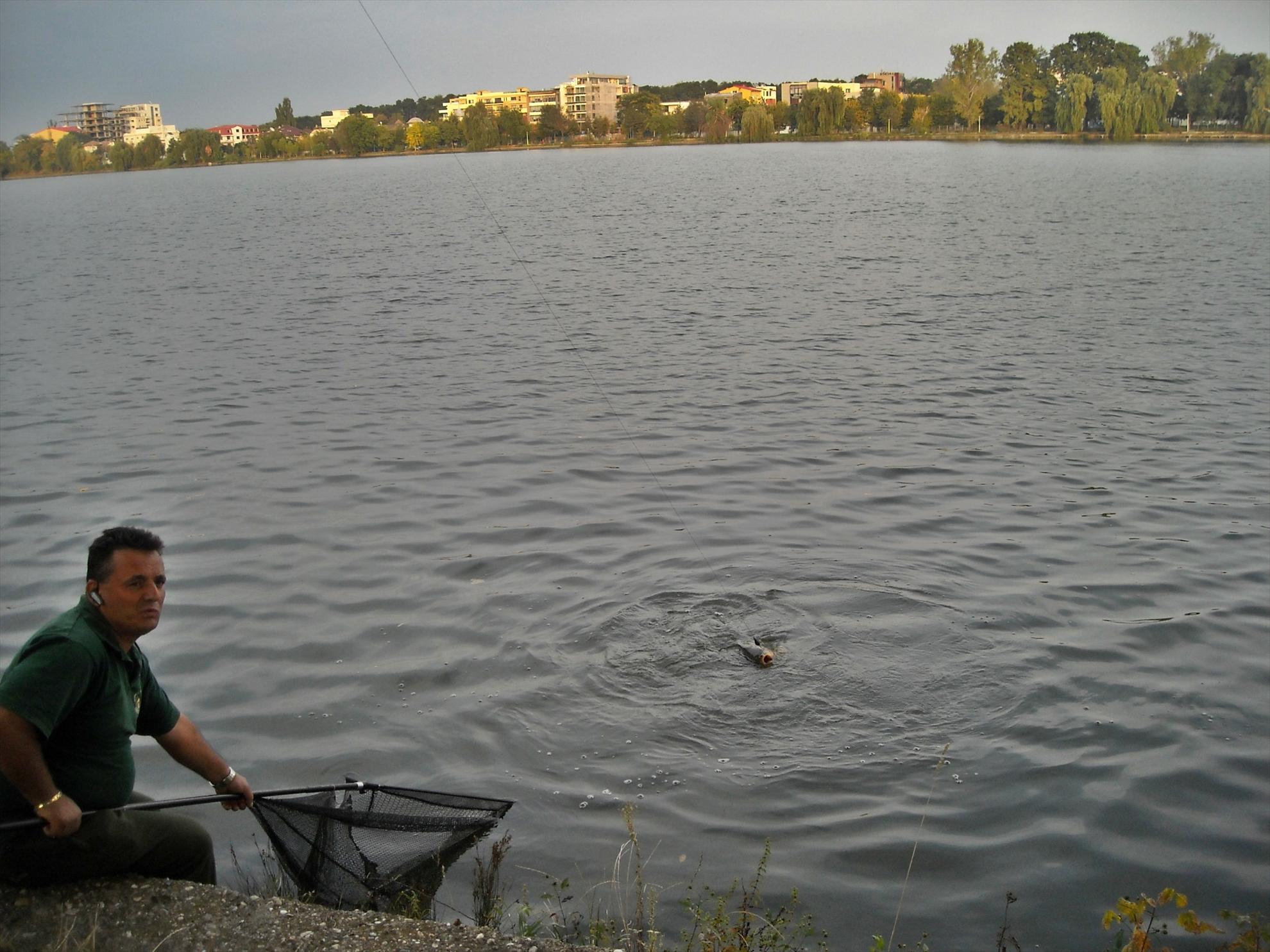 Cupa Bucovina - Floreasca 2010 - dscn8735.jpg